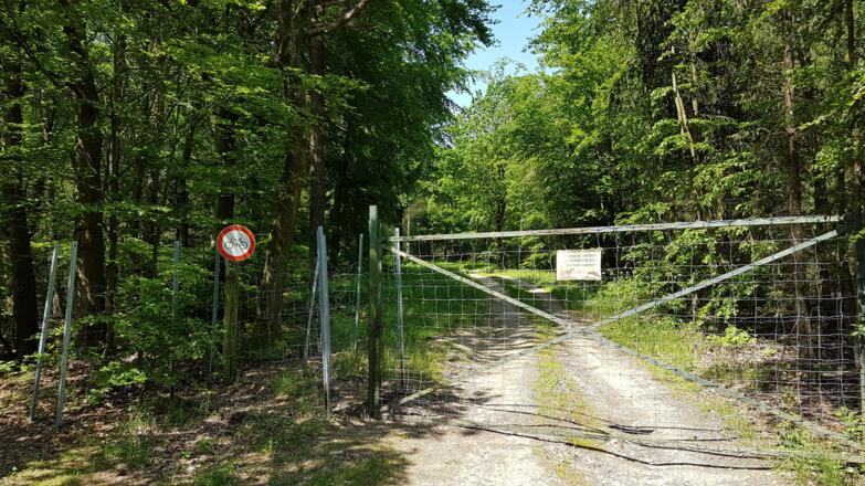 Wildgatter nach der Forststraßenkreuzung