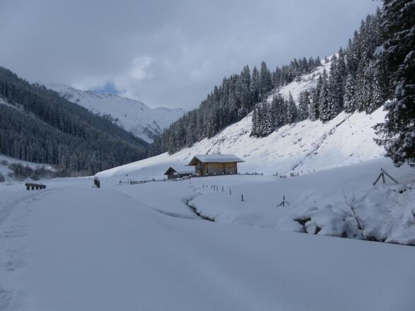 Saalhofalm