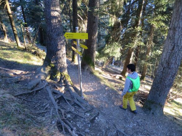 Der Abstieg zum Rauschbrunnen ist unschwierig und weist keine Gefahrenstellen auf.