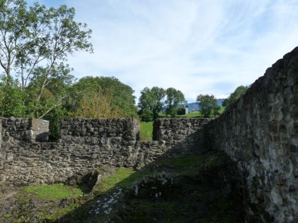 Burgruine Alt-Schellenberg (Untere Schellenberg)