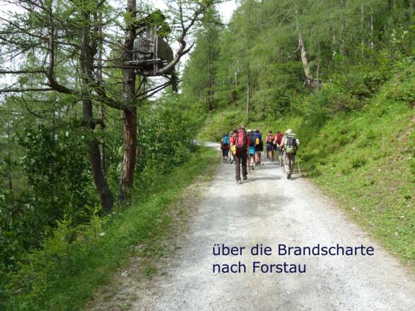 Brandscharte