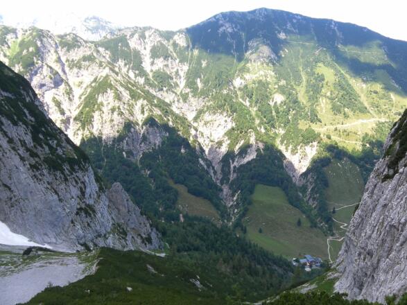 Griesner Alm und Feldberg