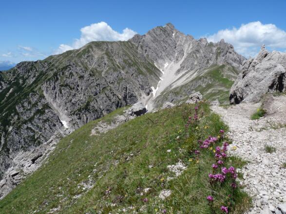 Blick zurück vom Beginn des Freiunger Höhenweges zu den Felsabbrüchen der Reither Spitze.