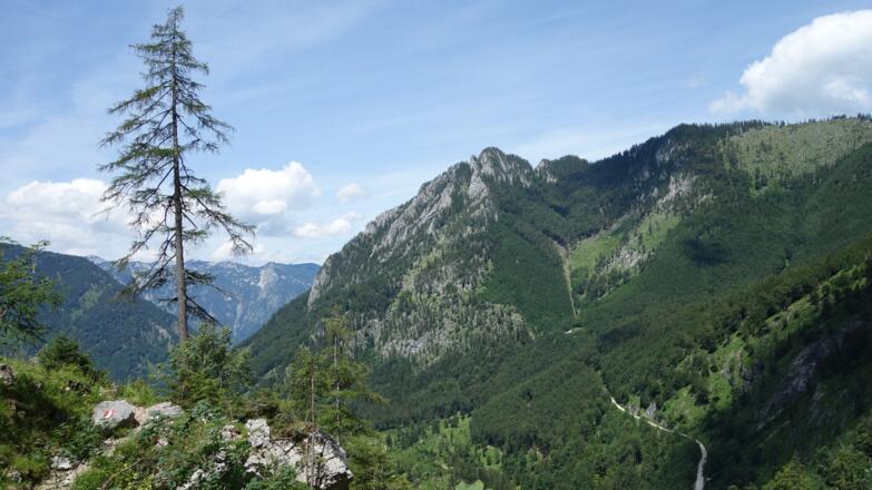 Abstieg: 1025m Waldende mit Scharrer- und Sulzkogel 1539m