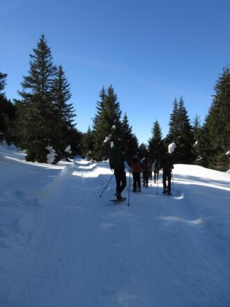 An der Weggabelung rechts halten