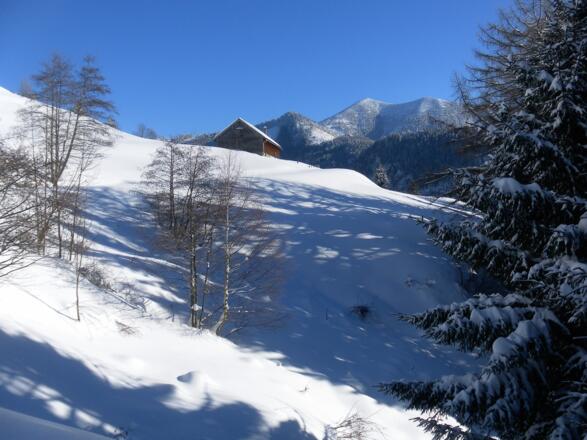 Hoheneckalm vor Zimnitz/Leonsberg