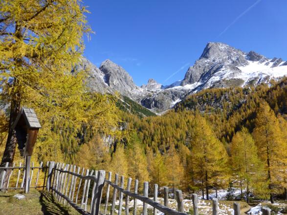 Bei der Kerschbaumer Alm