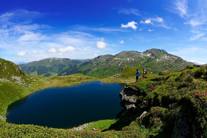 mittl. Wildalmsee