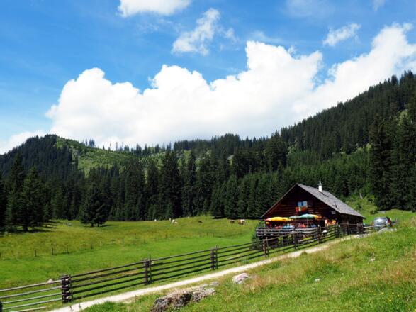 Iglmoosalm 1.206m mit Rosenkogel