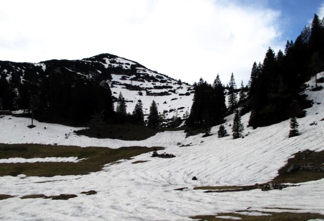 Petergupf 1646m, Anstieg von rechts am Nordgrat