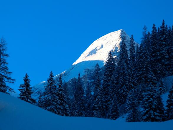 Der erste Blick zum Gschnitzer Tribulaun