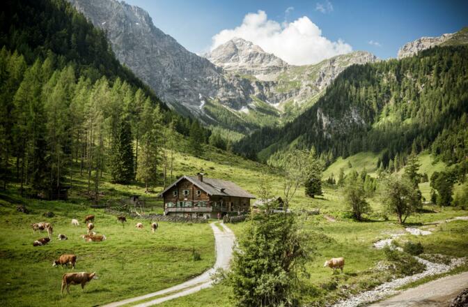 Vordere Marbachalm