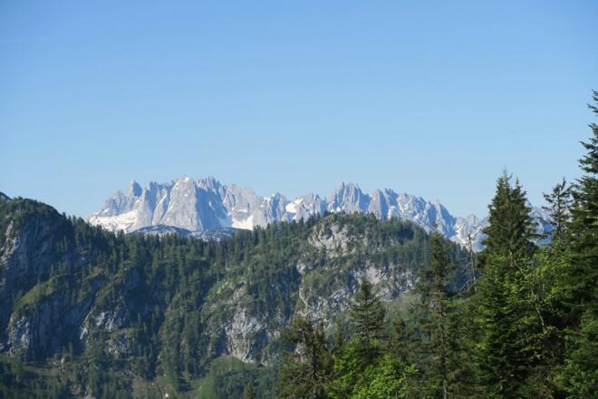 Der Gosaukamm