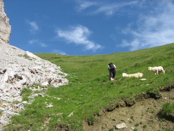 Kurz unterhalb des Serlesjöchls.