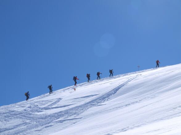 Im Gänsemarsch bergan