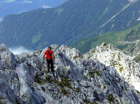Westgrat mit Blick Richtung Arzler Scharte