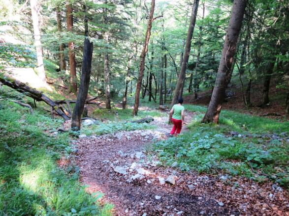 Der Kreis schließt sich bei der großen Wasserfassung im Halltal.