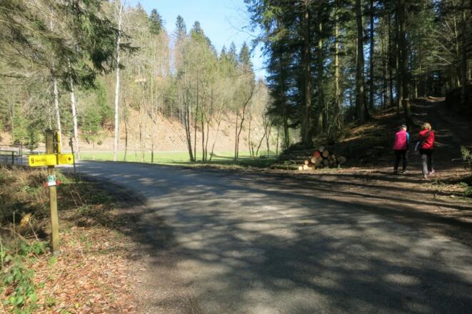 Weiterweg zur Aumühle