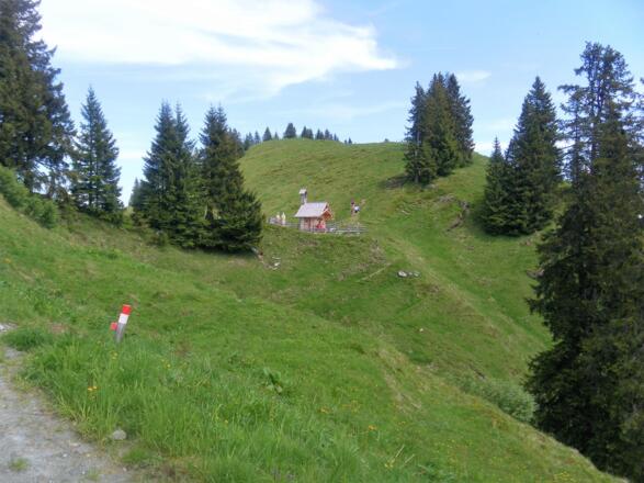 Rückblick zum Halsgatterl
