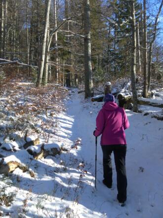Wanderweg