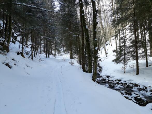 Aufstieg entlang der Teichl