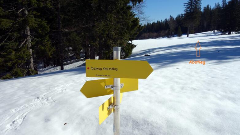 Abstieg von 1300m zur Forststraße um 1245m