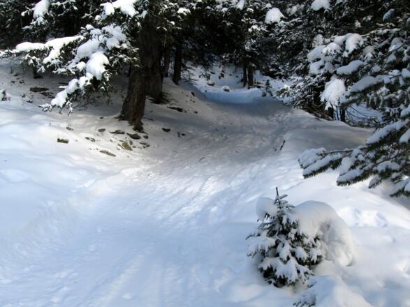 ... über diesen Hohlweg durch den tief verschneiten Wald geht.