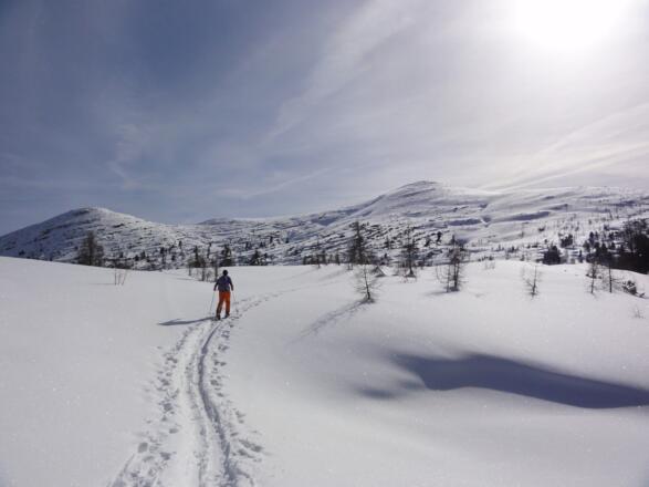 Angerkogel von der Angeralm