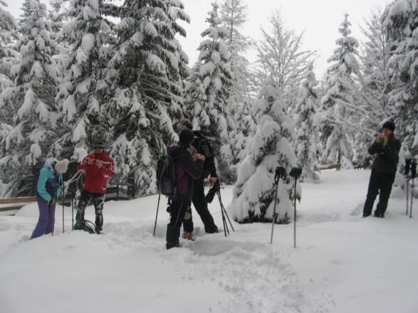 Im tiefverschneiten Wald in der Nähe vom Geiernest
