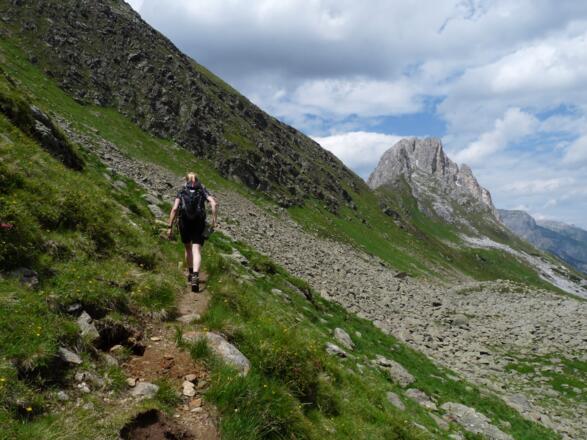 400 HM führt der schöne Anstieg von der Tribulaunhütte hinauf zur Gargglerin.