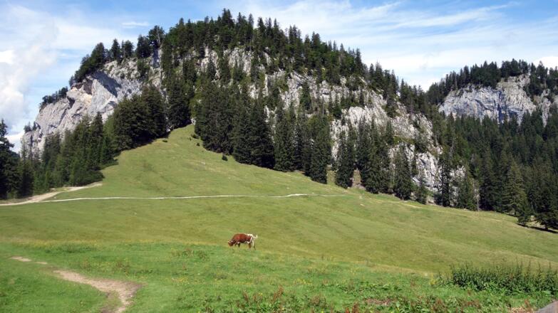 Zwerchwand ~1330m