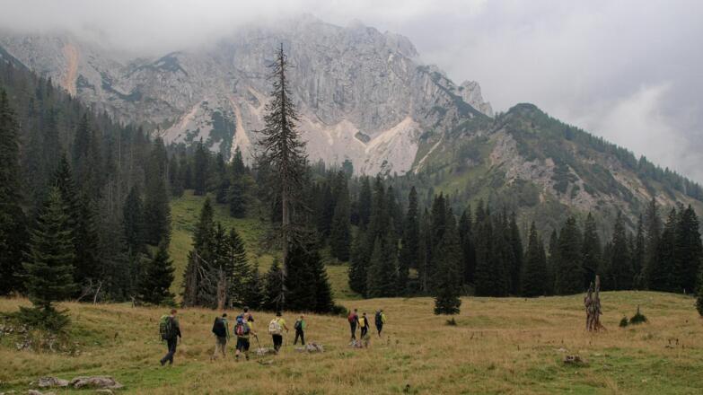 Almboden der Feichtau, im Hintergrund der wolkenverhangene Hohe Nock