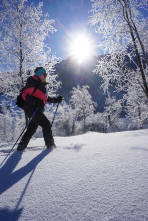 Tiefschneegenuß in der Sonne