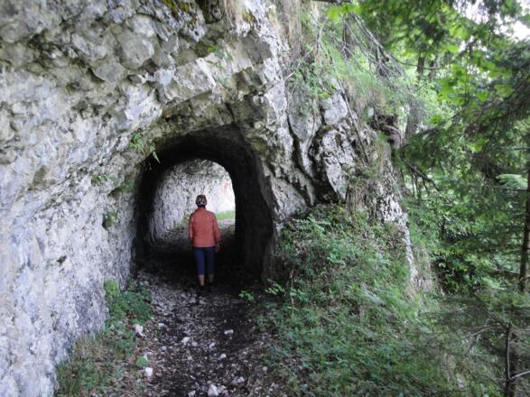 Auch durch den Berg führt der Forstweg "Rettenbachleiten"