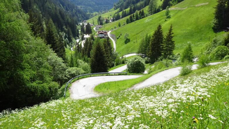 Zuletzt ca. 1/2 Stunde über die Straße zurück zum Ausgangspunkt.