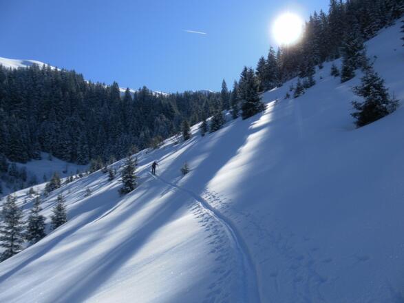 zum Waldrand