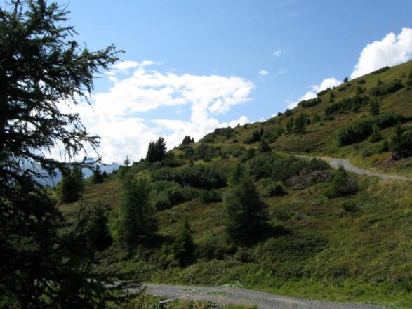 Angenehme Steigung im letzten Drittel