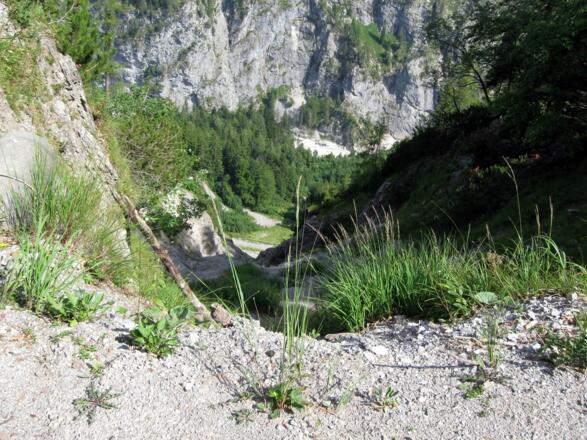 Konzentrierte Fahrweise ist dringend anzuraten. Hier fällt man tief, wenn man fällt.