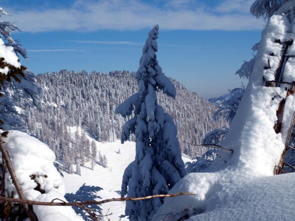 Langfirst 1469 m von Süden gesehen