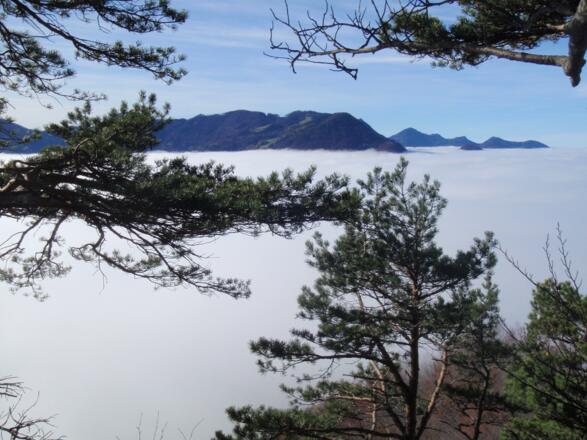 Nebelmeer in Richtung Hohe Dirn