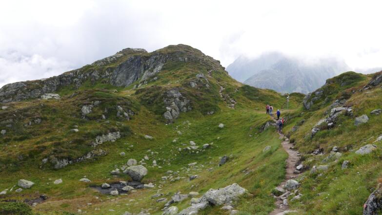 Wegpassage auf dem Rückweg