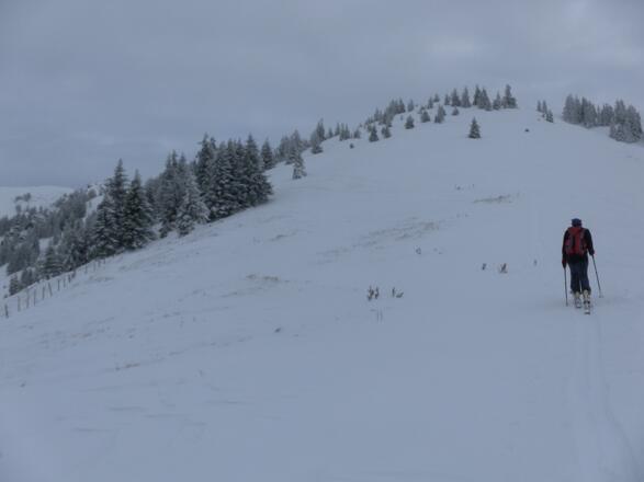 Brunnerkogel Gipfelkuppe