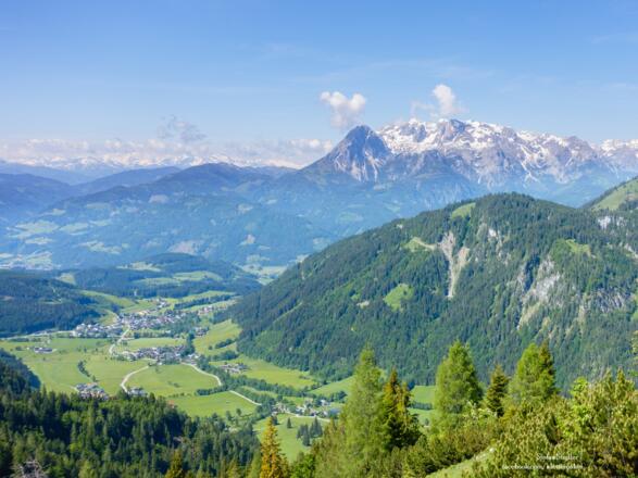 man muss nicht weit gehen und hat eine herrliche Aussicht auf den Hochkönig mit der Torsäule