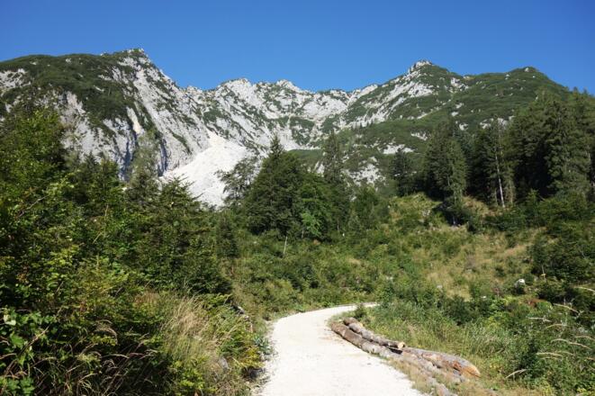Nach der Forststraße geht's durch die steile Ostflanke