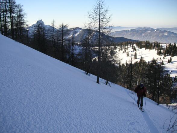 oberhalb der Leonsbergalm