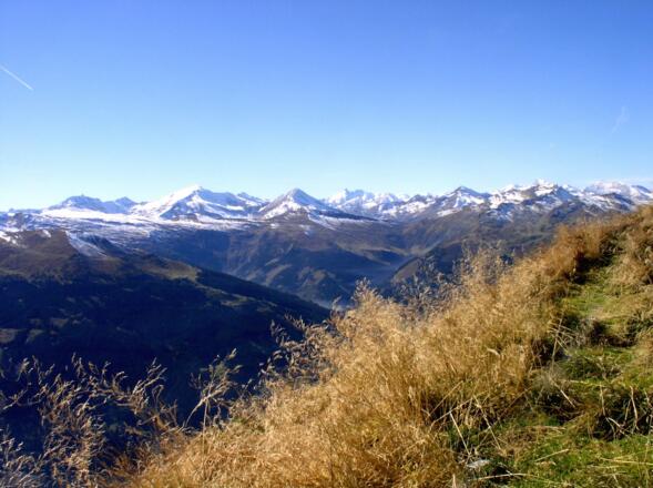 Hocharnblick