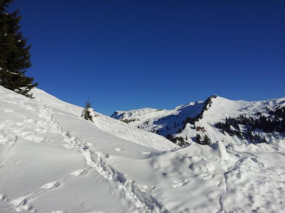 Blick zum Freschen hinten links.