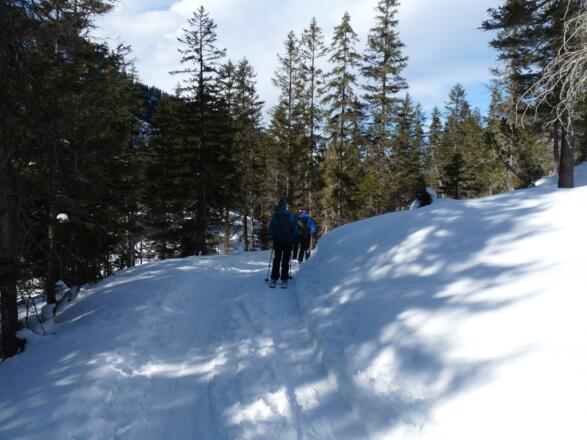 Nach der Eppzirler Alm folgt eine mehrminütige Schiebestrecke.