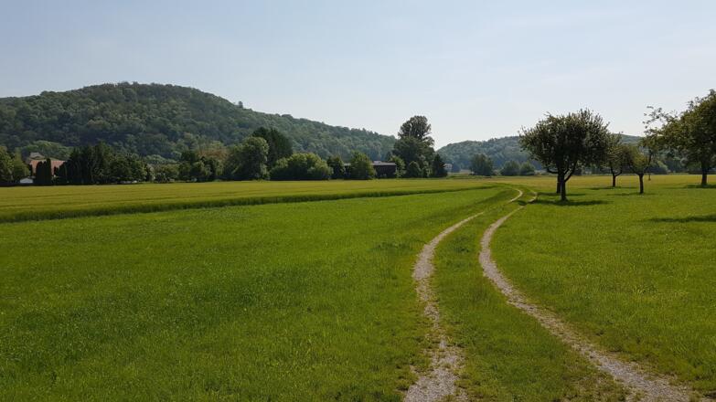 Kurz nach der Haltestelle rechts auf den Wiesenweg