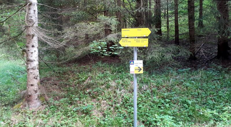 Gabelung 730m, rechts